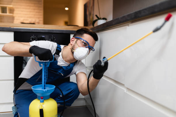 Best Exterminator Services  in Bismarck, MO