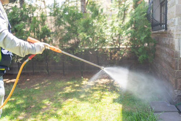 Best Residential Pest Control  in Bismarck, MO