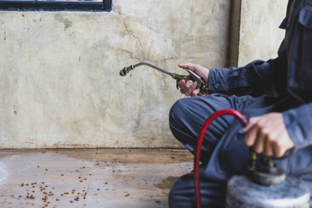 Professional Pest Control in Bismarck, MO